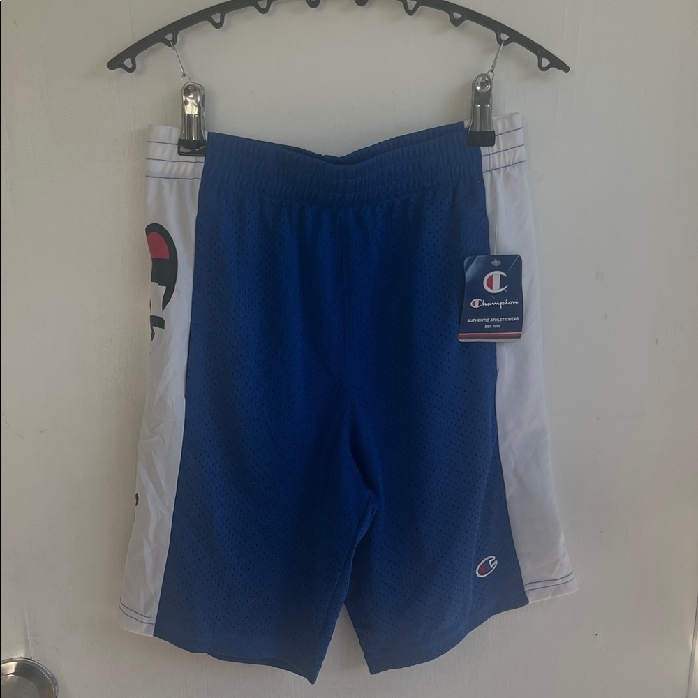 Champion Men's Athletic Shorts in Blue and White Size Medium